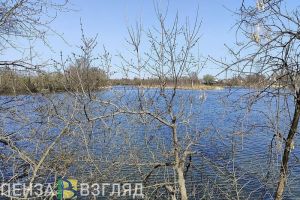 Пензенцам рассказали, что делать при подтоплении дома или участка в паводок