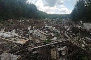 В Никольском районе ликвидировали огромную незаконную свалку