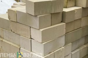 В селе под Пензой опасаются последствий строительства пометохранилища