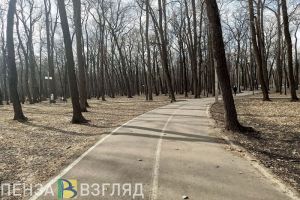 Днем 11 марта температура воздуха в Пензе и области поднимется до +12 градусов