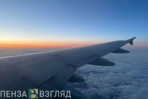 Пензенца будут судить по уголовному делу о хулиганстве на борту самолета