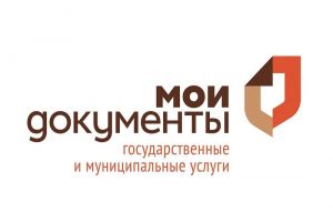 В 2025 году в центрах «Мои Документы» Пензы и области оказали 233 тысячи услуг