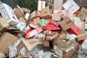 В Пензенской области выявлено 25 несанкционированных свалок