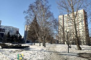14 марта в Пензенской области объявлен желтый уровень погодной опасности