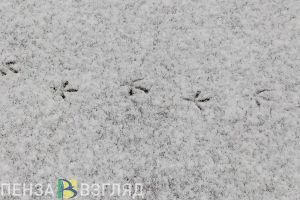 В Пензенской области резко похолодает