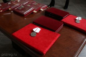 Губернатор вручил награды пензенским спасателям в новых регионах России