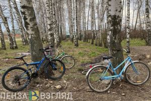 Холодный воздух, мало осадков: прогноз погоды для Пензенской области на 3 дня
