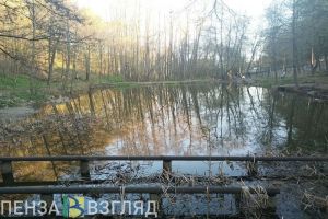 Россельхознадзор предупреждает пензенцев о ранней активизации клещей