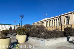 Власти прокомментировали информацию об угрозах пензенским школам