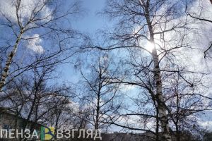 В Пензенской области 21 марта будет по-настоящему весенняя погода