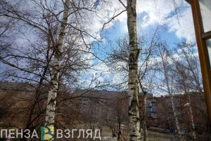 В воскресенье температура в Пензенской области вырастет на 18 градусов