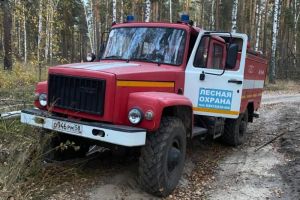 В Пензенской области утвердили план тушения лесных пожаров на 2025 год