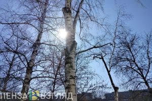 В Пензенской области температура поднимется до +11 градусов