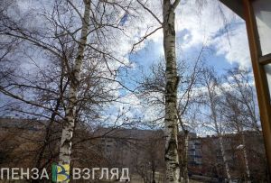 25 марта в Пензенской области потеплеет до +12 градусов