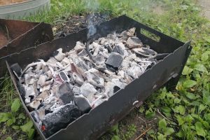 Майские праздники скоро: рецепт идеального маринада для свиных ребрышек