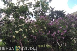 Жителям Пензы и области пояснили, как получить 9 дней отдыха в майские праздники