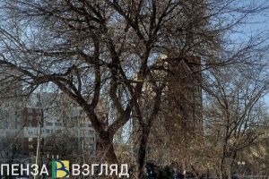 26 марта в Пензенской области ожидаются мощные порывы ветра