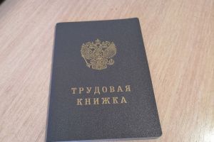 Эксперты развеяли 5 мифов об электронной трудовой книжке: нюансы, о которых знают не все
