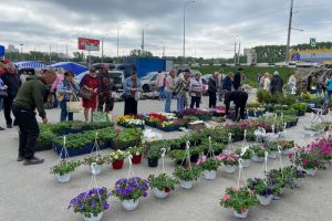 Пензенский Минсельхоз организует в Арбеково выставку-ярмарку для дачников (0+)