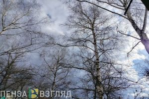 В четверг в Пензенской области пройдет снег с дождем