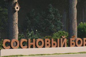 В Сердобске начнут реализацию проекта «Сосновый бор – семейная аллея»