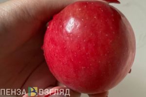 Пензенским аллергикам назвали опасные продукты