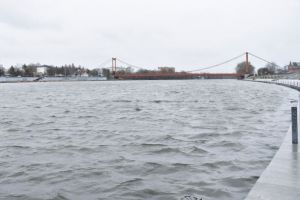 Суру в центре Пензы очистят от водной растительности