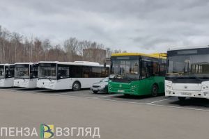 В Пензе обсуждают запуск автобусов большого класса по улице Пушкина