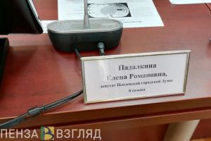 Пензенского депутата лишили права выступления на сессии за нарушение этики