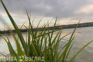 Ученые из ПГУ разработали устройство для очистки сточных вод