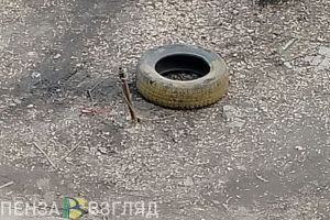 Жителям Пензенской области пояснили, куда сдать старые шины