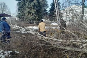 В Наровчате благоустраивают зону отдыха