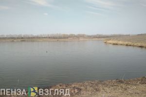 Власти Пензы обещают развитие территории около Арбековского пруда