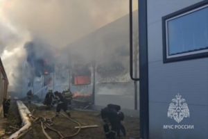 Прокуратура проводит проверку по факту пожара на улице Аустрина в Пензе