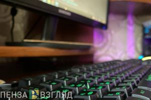 Пензенцам пояснили, как детей затягивают в преступные схемы в соцсетях