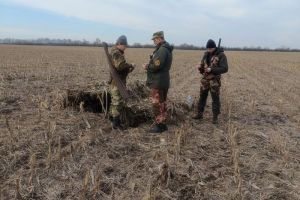 В Пензенской области охотники 13 раз нарушили закон