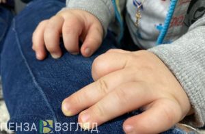 В Пензенской области хотят установить День многодетной семьи