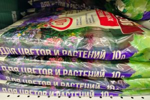 Груши просто наливные: подкормка для повышения урожайности