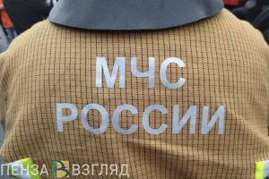 За прошедшие сутки в Пензенской области ликвидировали 13 пожаров