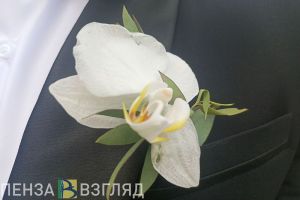 В Пензенской области растет число браков и падает количество разводов