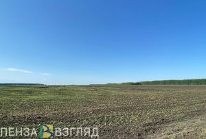 В Пензенской области выявили 19 нарушений при использовании пестицидов