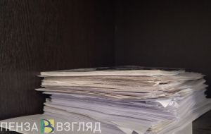 В Пензенской области намерены оказывать соцподдержку семьям ополченцев