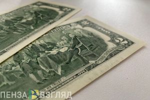 В Пензенской области узнали прогноз по курсу доллара на конец 2025 года