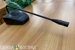 Депутаты Пензенской Гордумы отчитались о доходах за 2024 год