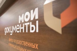 За 1 квартал 2025 года пензенские МФЦ оказали более 360 тысяч услуг