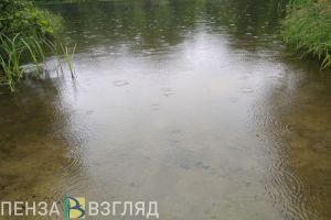 Сердобский «Водоканал» сбрасывает вредные вещества в реку Сердоба