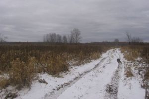 В Камешкирском районе предприниматель заплатит 30 тыс. рублей за заросшие земли