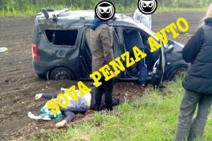 В ходе ДТП в Шемышейском районе пострадал один человек