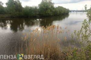 4 мая в Пензенской области температура вырастет до +22 градусов