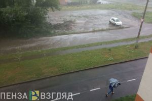 Жителей Пензенской области предупреждают о штормовом ветре 5 мая